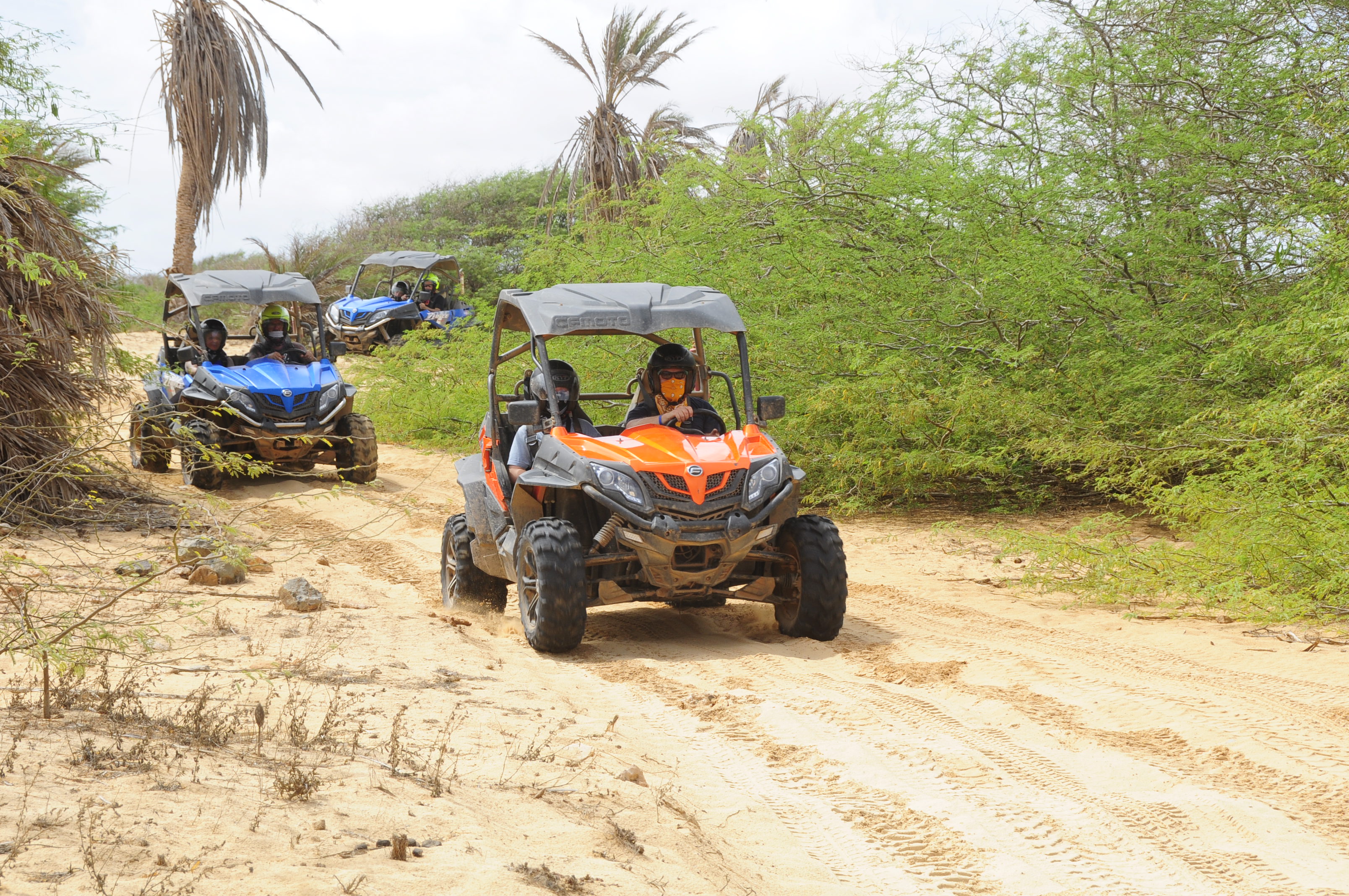 4WD Buggy Adventure - Photo 4