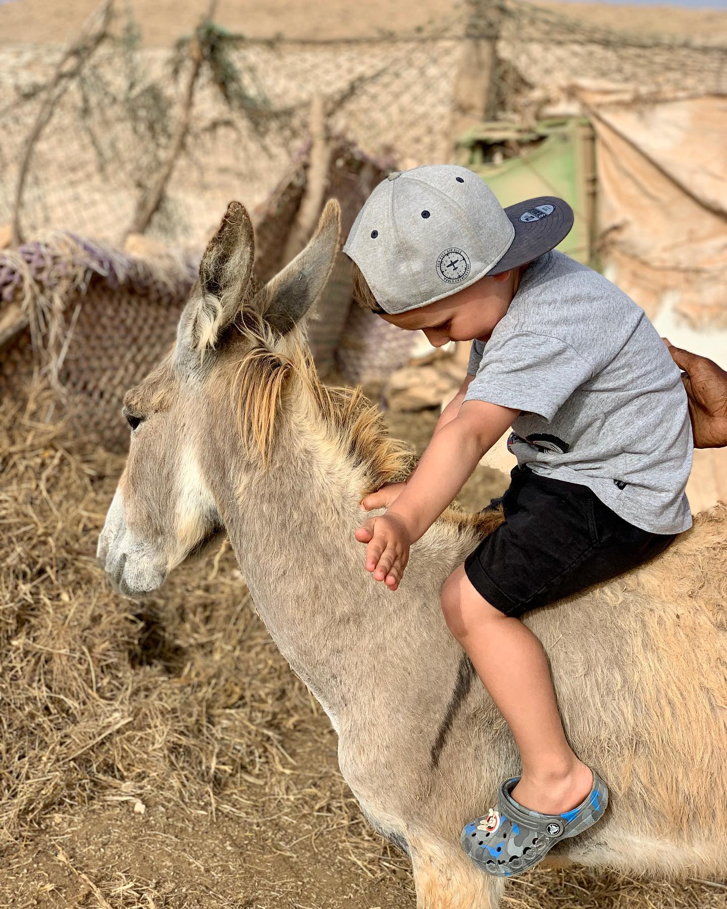 Traditional & Cultural Tour